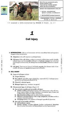 : Pathology