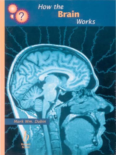 How the brain works