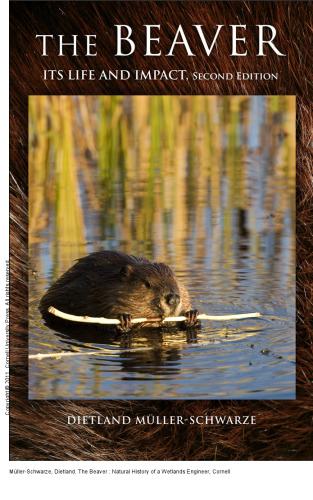 The Beaver : Natural History of a Wetlands Engineer
