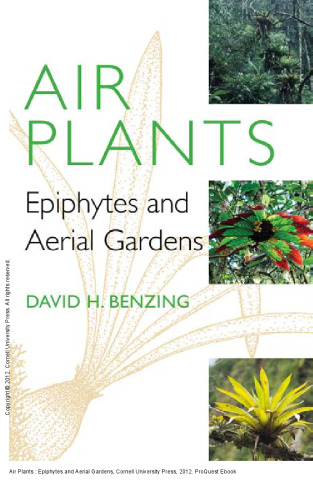 Air Plants : Epiphytes and Aerial Gardens