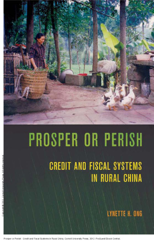 Prosper or Perish : Credit and Fiscal Systems in Rural China