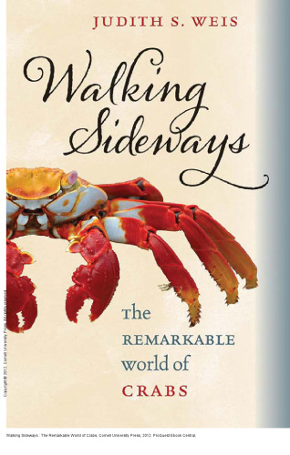 Walking Sideways : The Remarkable World of Crabs