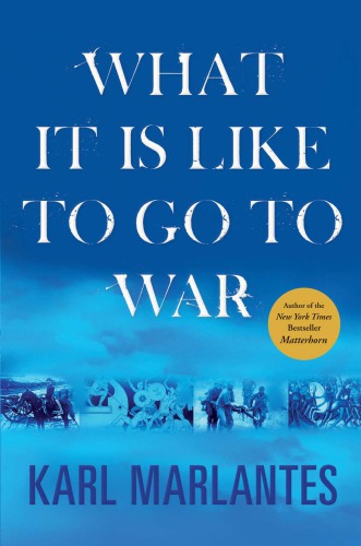 What it is like to go to war