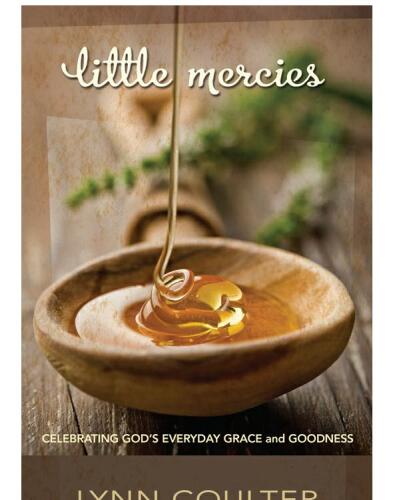 Little Mercies: Celebrating God's Everyday Grace and Goodness
