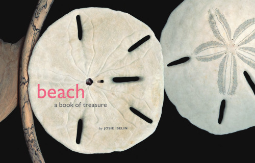 Beach: A Book of Treasures