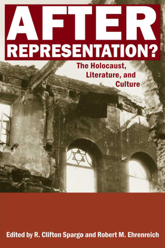 After Representation?: The Holocaust, Literature, and Culture