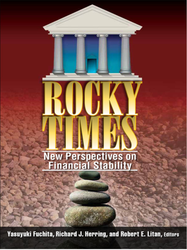 Rocky Times : New Perspectives on Financial Stability