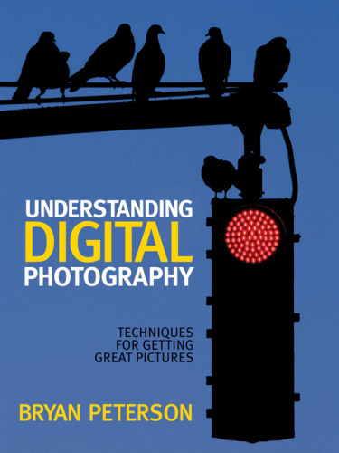 Understanding digital photography: techniques for getting great pictures