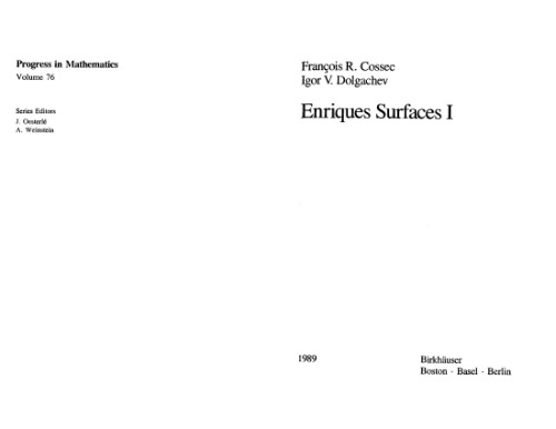 Enriques Surfaces I