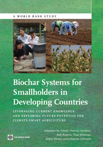 Biochar Systems for Smallholders in Developing Countries: Leveraging Current Knowledge and Exploring Future Potential for Climate-Smart Agriculture