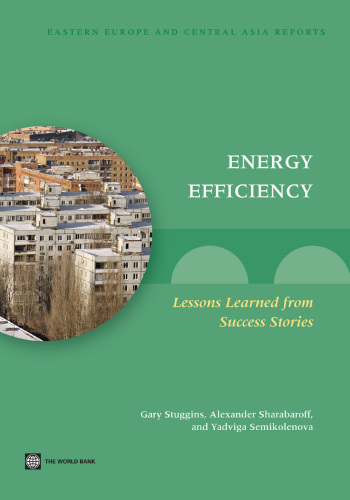 Energy Efficiency: Lessons Learned from Success Stories