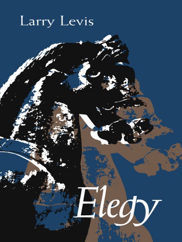 Elegy