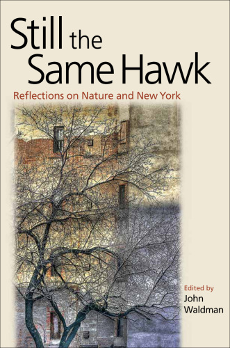 Still the Same Hawk : Reflections on Nature and New York