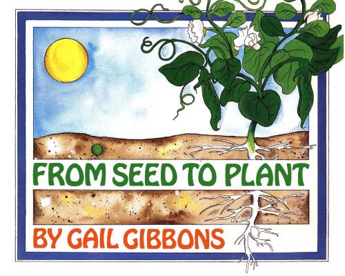 From Seed to Plant