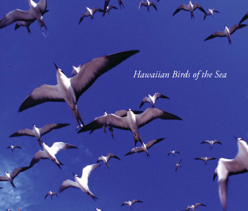 Hawaiian Birds of the Sea: Na Manu Kai