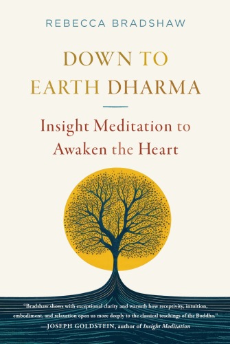Down to Earth Dharma : Insight Meditation to Awaken the Heart