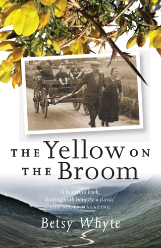 The Yellow on the Broom