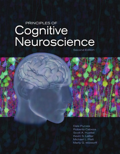 Principles of Cognitive Neuroscience