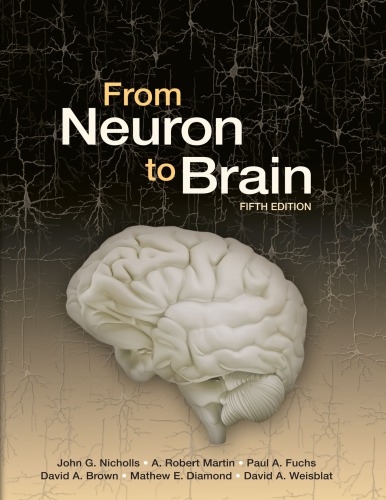 From Neuron to Brain