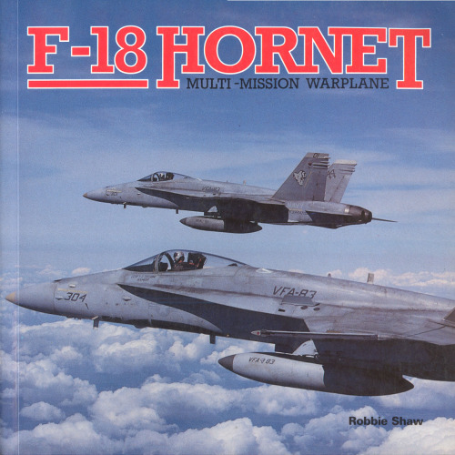 F-18 Hornet. Multi-mission warplane