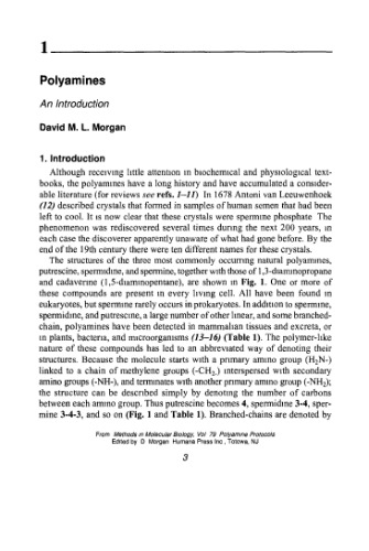 Polyamine Protocols