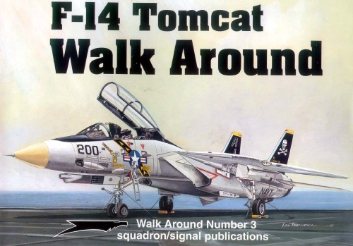 F-14 Tomcat