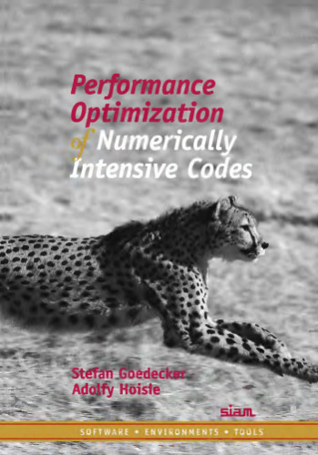 Performance optimization of numerically intensive codes