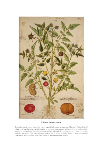 Taxonomy of Wild Tomatoes and their Relatives (Solanum sect. Lycopersicoides, sect. Juglandifolia, sect. Lycopersicon; Solanaceae)