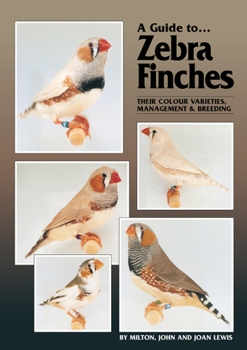 A Guide to Zebra Finches: Their Colour Varieties, Management & Breeding