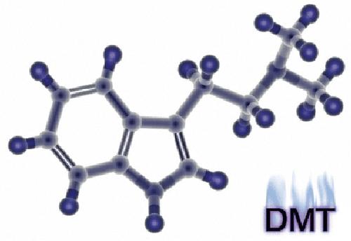 Ayahuasca Analogues Pangean Entheogens