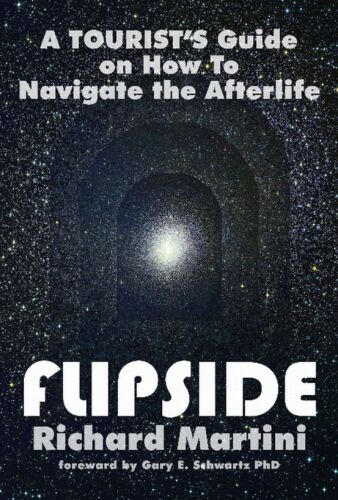Flipside: A Tourist's Guide on How To Navigate the Afterlife