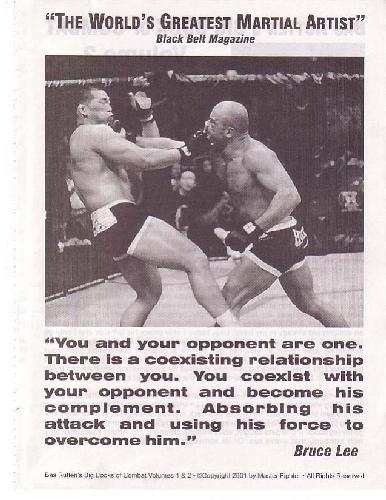 Bas Rutten Big Book Of Combat