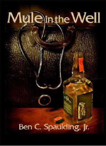 Mule in the well