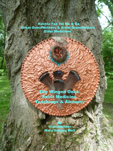 The Winged Ones: Spirit Medicine Teachings & Alchemy