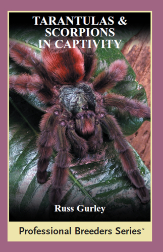 Tarantulas and Scorpions in Captivity
