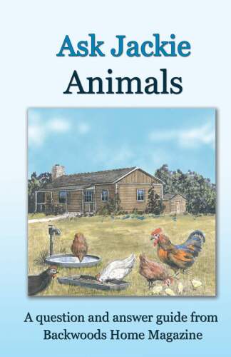 Ask Jackie: Animals