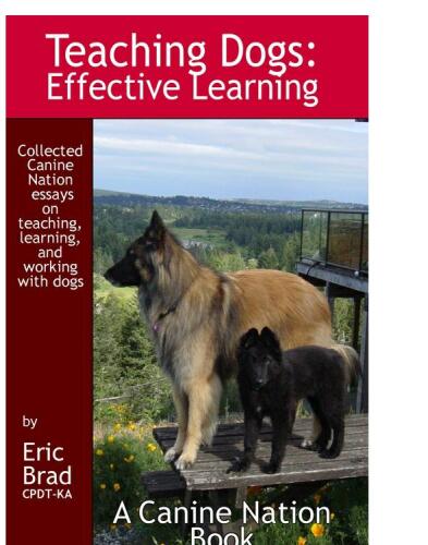 Teaching Dogs: Effective Learning : A Canine Nation Book
