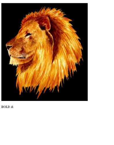 ''Bold & Determined vol 1''
