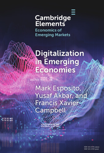 Digitalization in Emerging Economies