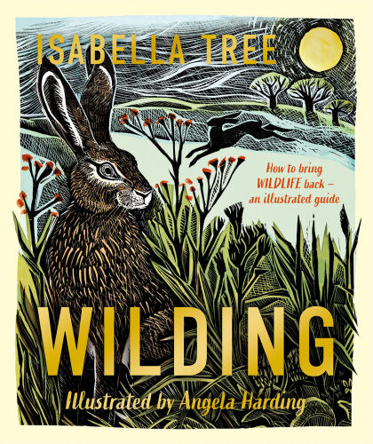 Wilding: How to Bring Wildlife Back: An Illustrated Guide