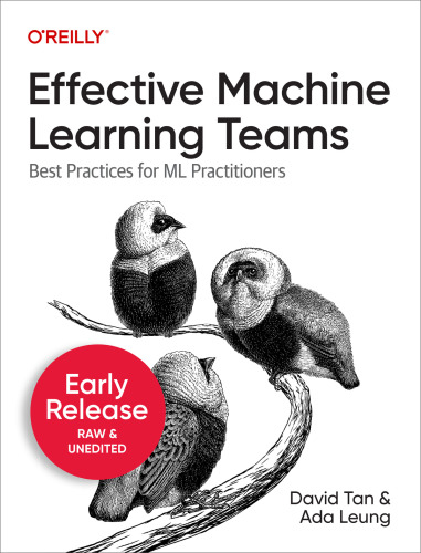 Effective Machine Learning Teams