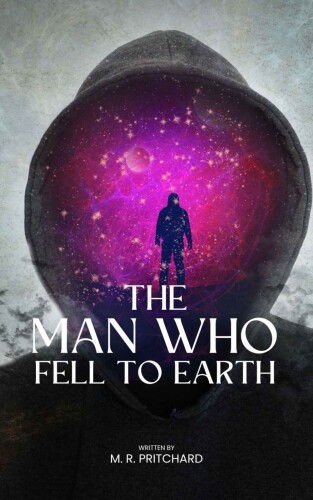 The Man Who Fell to Earth