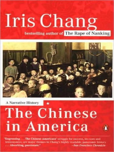 The chinese in america: a narrative history