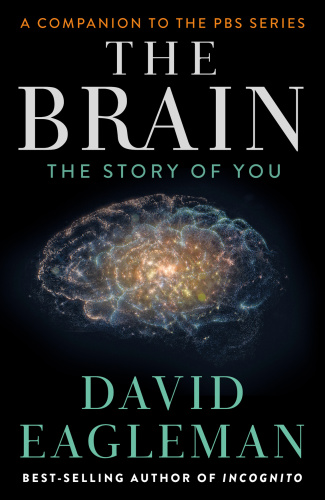 The brain: the story of you