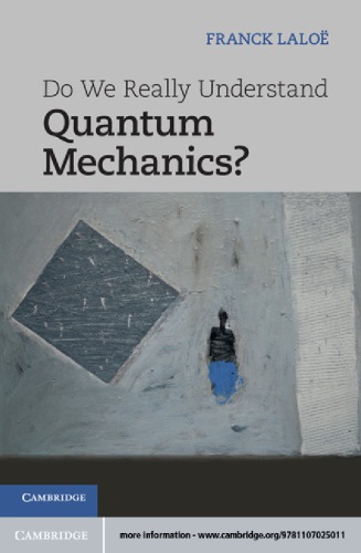 Do we really understand quantum mechanics?