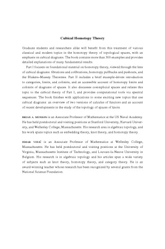 Cubical Homotopy Theory