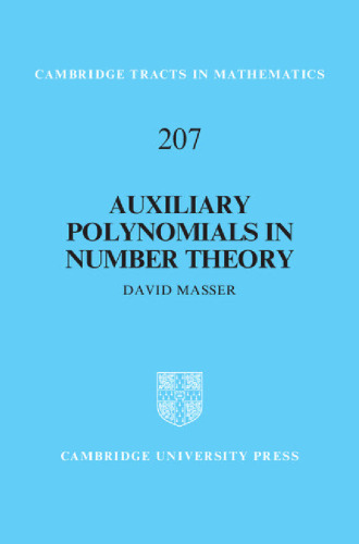 Auxiliary polynomials in number theory
