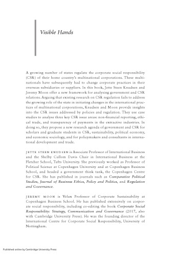 Visible Hands: Government Regulation and International Business Responsibility