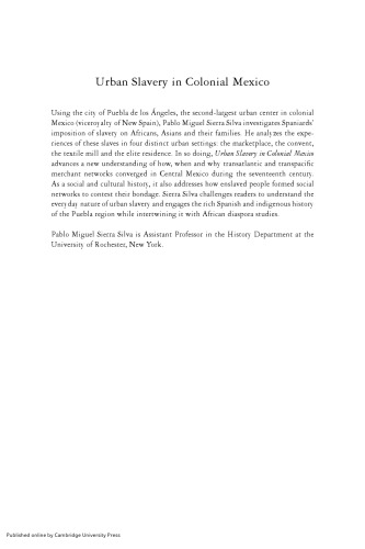 Urban Slavery in Colonial Mexico: Puebla de los Ángeles, 1531–1706