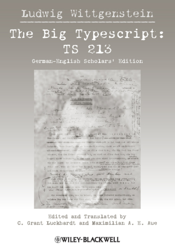 Big typescript: ts 213